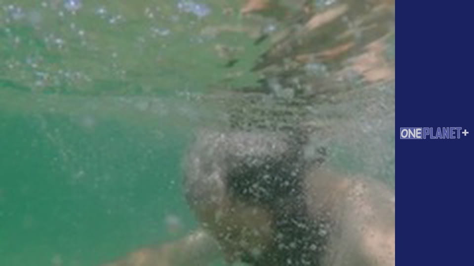 With my own eyes. - episode 10