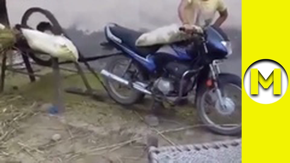 Max TV - season 1 - episode 137