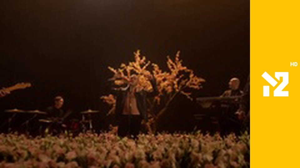 Хіти Non-Stop M2