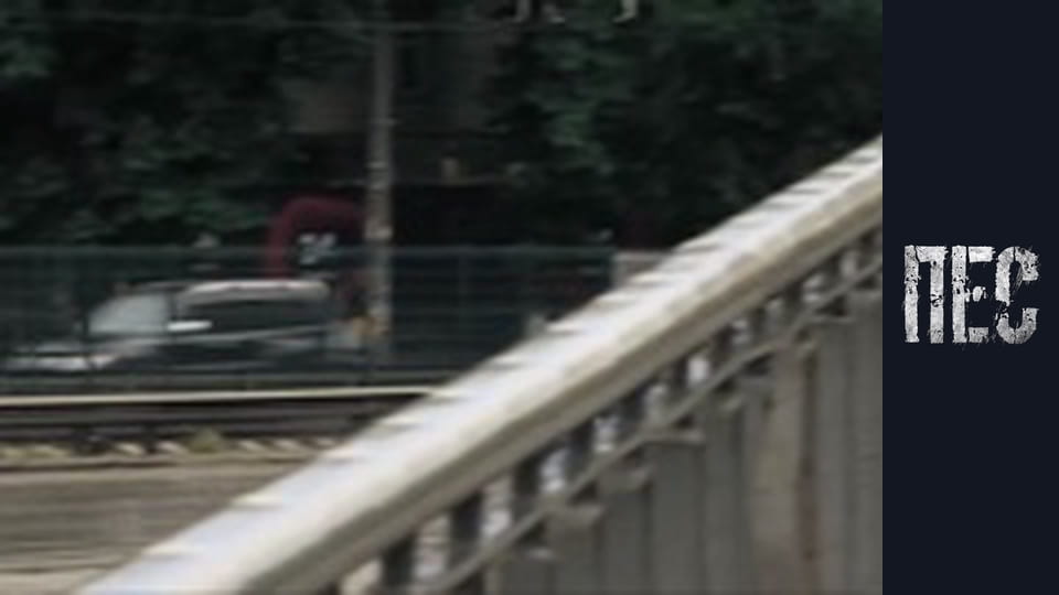 Dog, Season 4, Episode 10