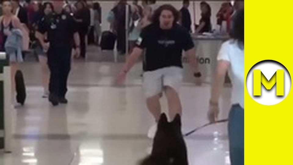 Max TV - season 1 - episode 141