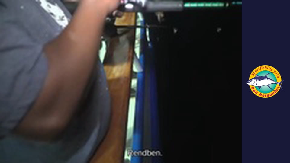 Freelance - Twilight