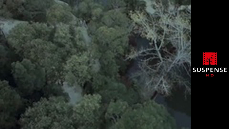 The Curse of Sleeping Beauty