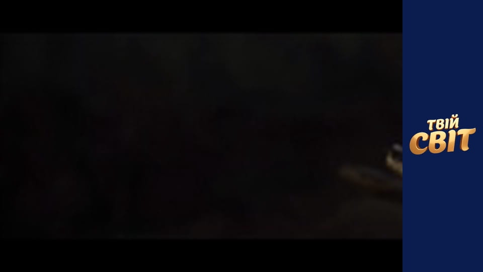 Миша Season 1 Episode 1