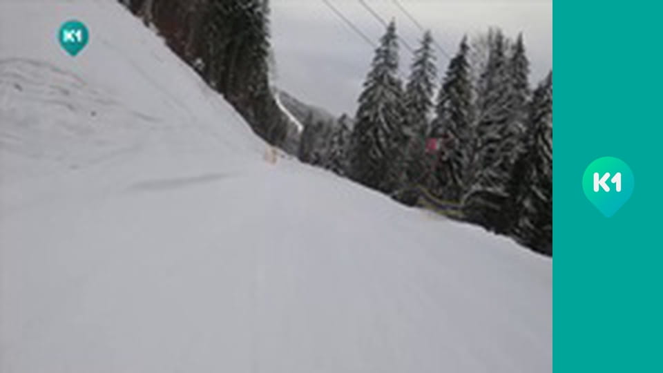 "Пригоди з Яною Метьолкіною".