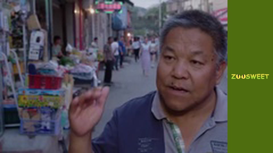 Survival, Season 1, Episode 20