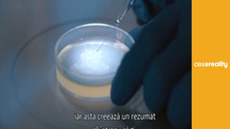 Relative Justice S1E86