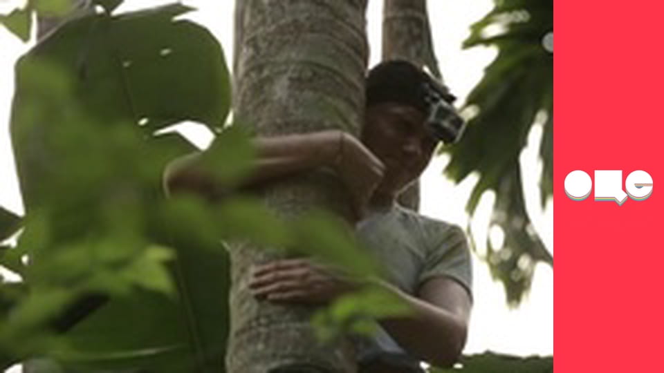 Т/с "Леся+Рома", 89 с.