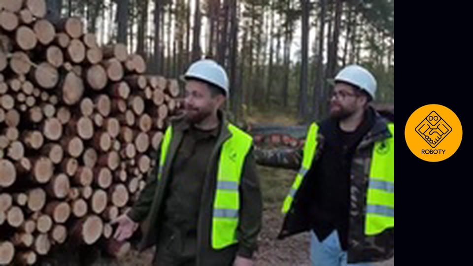 Wycinanie lasów i sadzenie drzew. Co robi leśniczy?