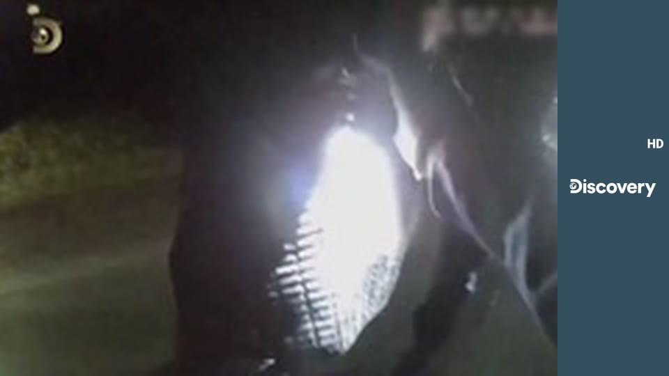 Ночной арест S2E2 - Плохая бабушка