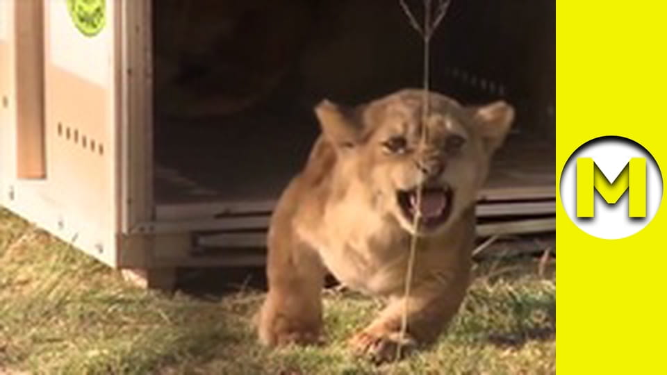 Max TV - season 1 - episode 9