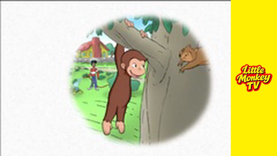 Ciekawski George i hamburgery