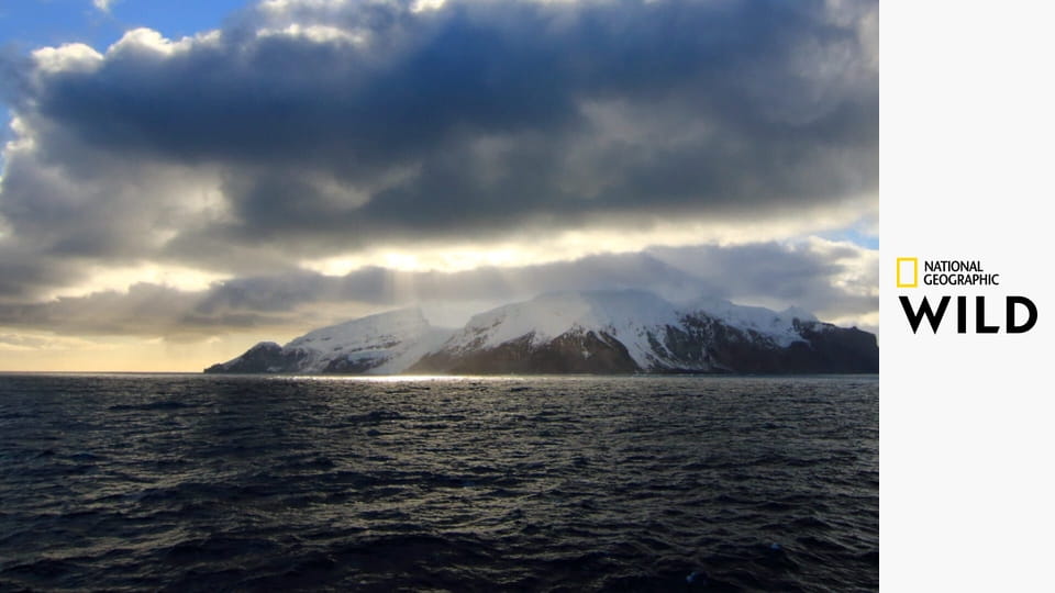 Холодные острова S1E2