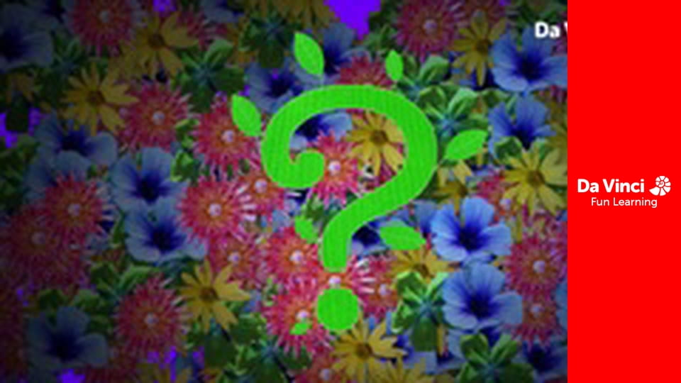 Know it All - Can Plants Count?