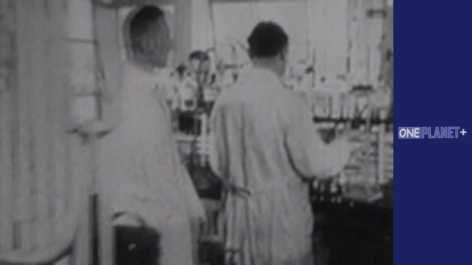 Secret. World War II. - episode 11