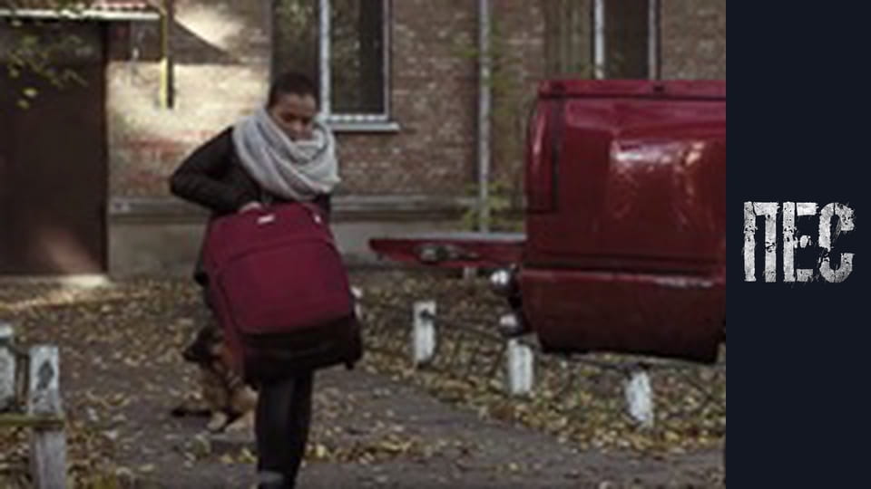 Dog, Season 2, Episode 13