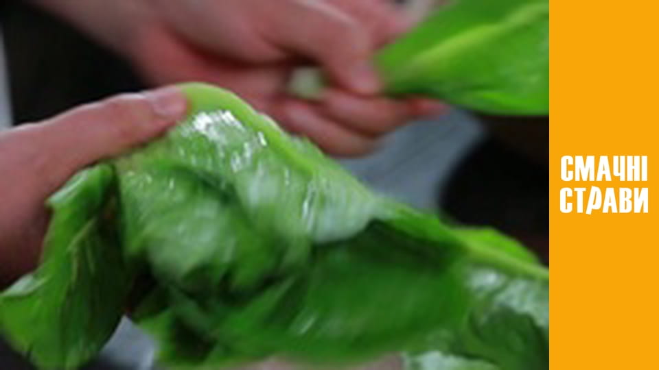 Pro  Salad - Series 2