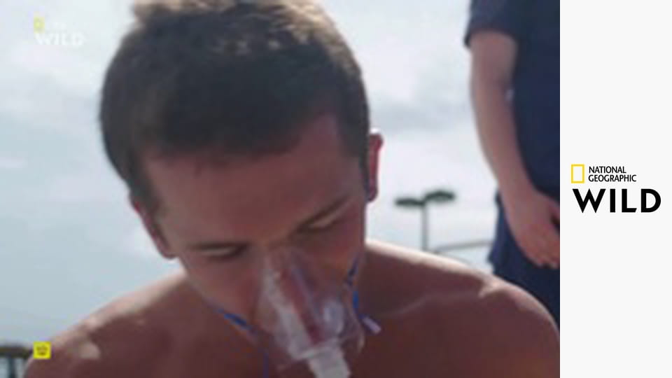 Кто-то меня укусил S1E3