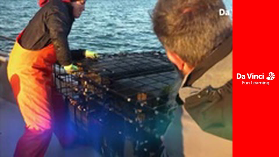 Projekt eksploracja: bajeczna planeta - Konkurs dla uczniów