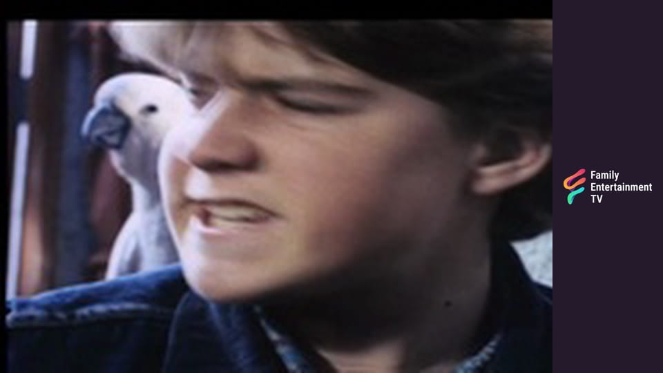 Enid Blyton Adventure Series Season 1 Episode 24