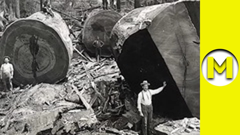 Max TV - season 1 - episode 73