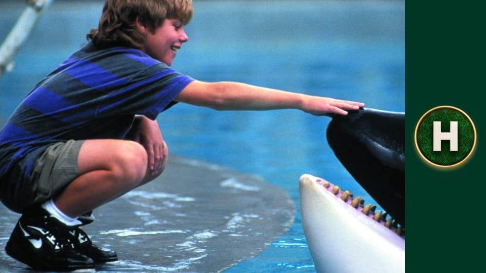 Звільнити Віллі