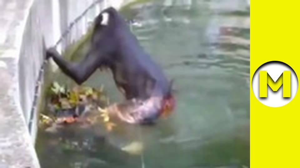 Max TV - season 1 - episode 24