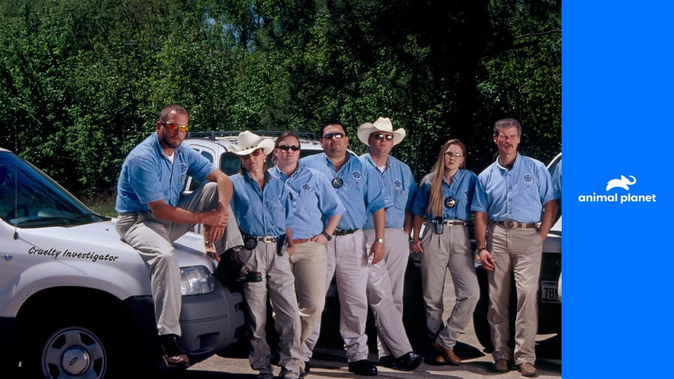 Veterinární policie Houston S7E12 - Jako v chlévě