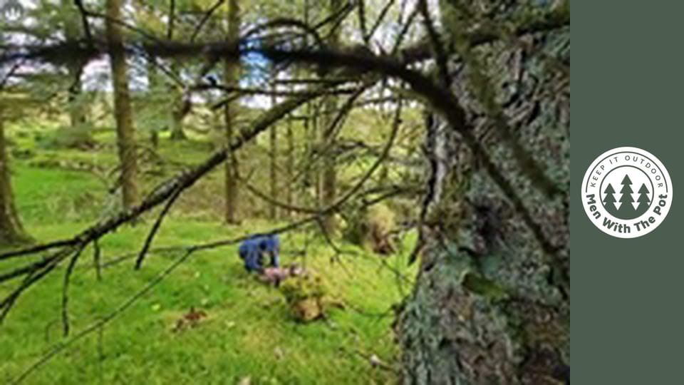 Ako spraviť dokonalý steak