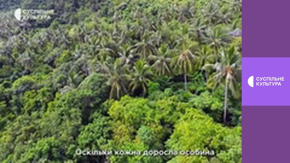 Д/с "Світ дикої природи. Дикі тварини". "Джунглі Азії".