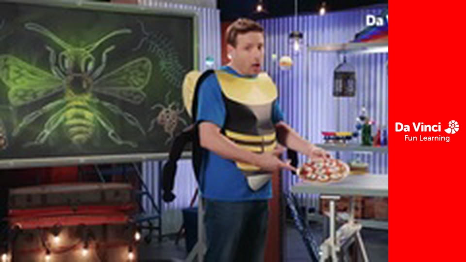 ScienceXplosion - The Buzz on Bugs