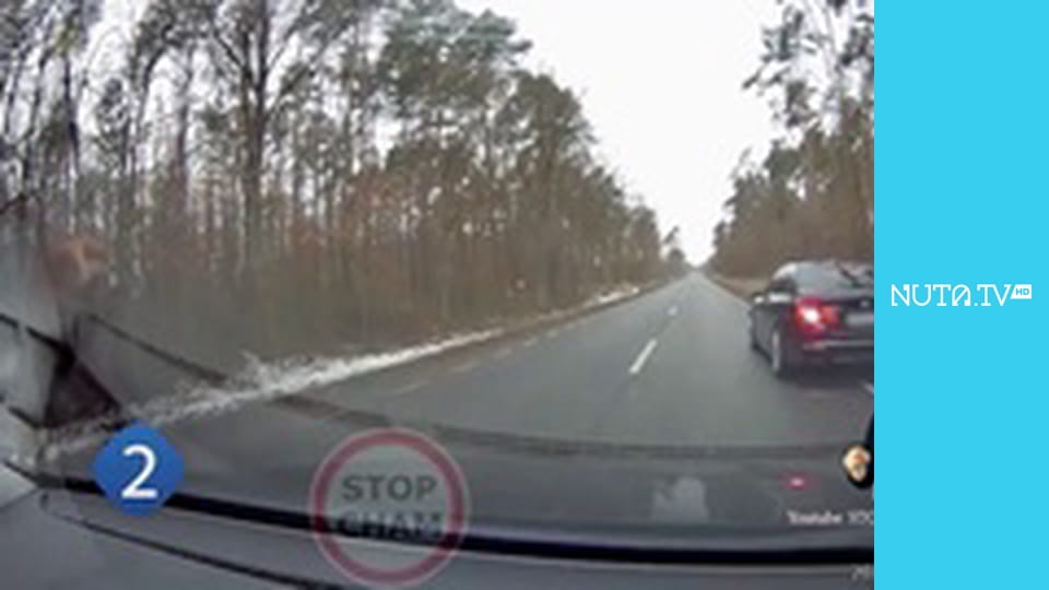 Złote czasy telewizji