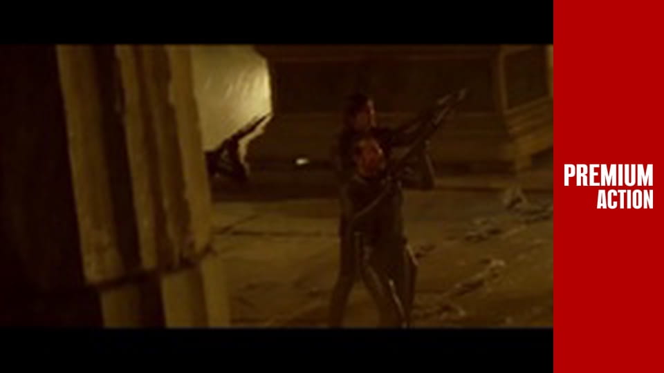 Lara Croft: Tomb Raider. The Cradle of Life