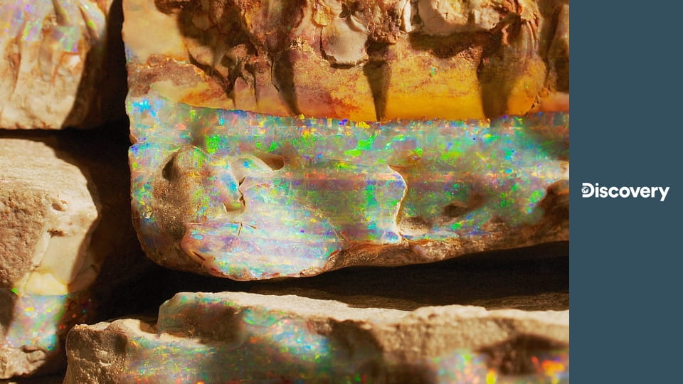 Искатели опалов S8E8