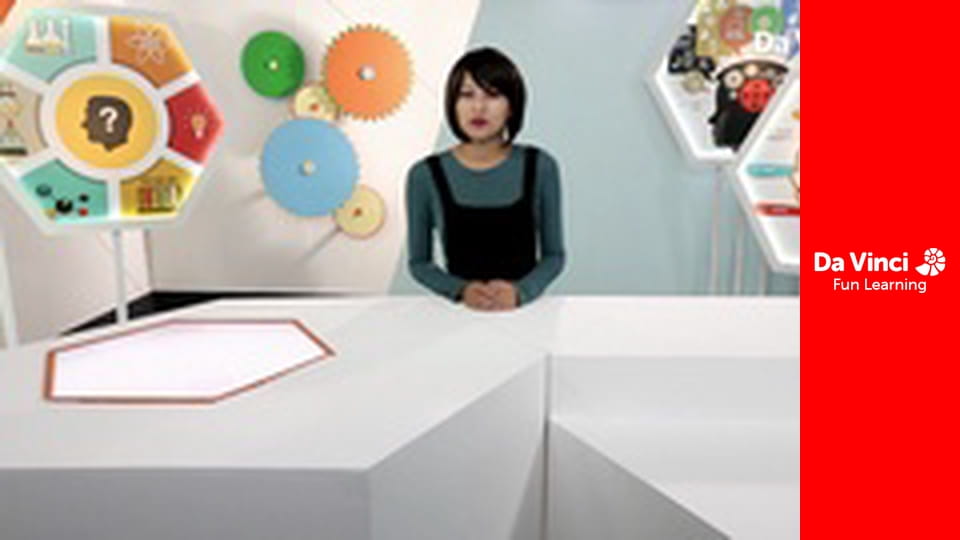 One Stop Science Shop - Fascinating Fossils