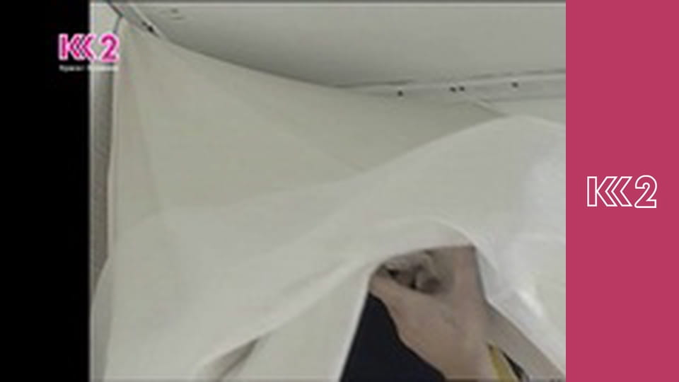 Спеція E9 - Ріпчаса цибуля