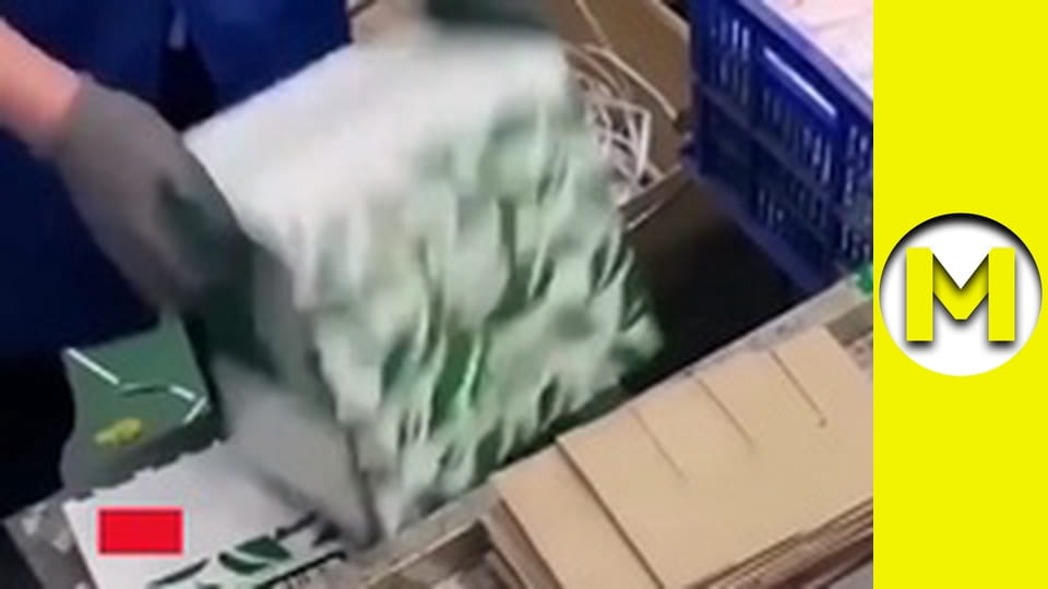 Max TV - season 1 - episode 76