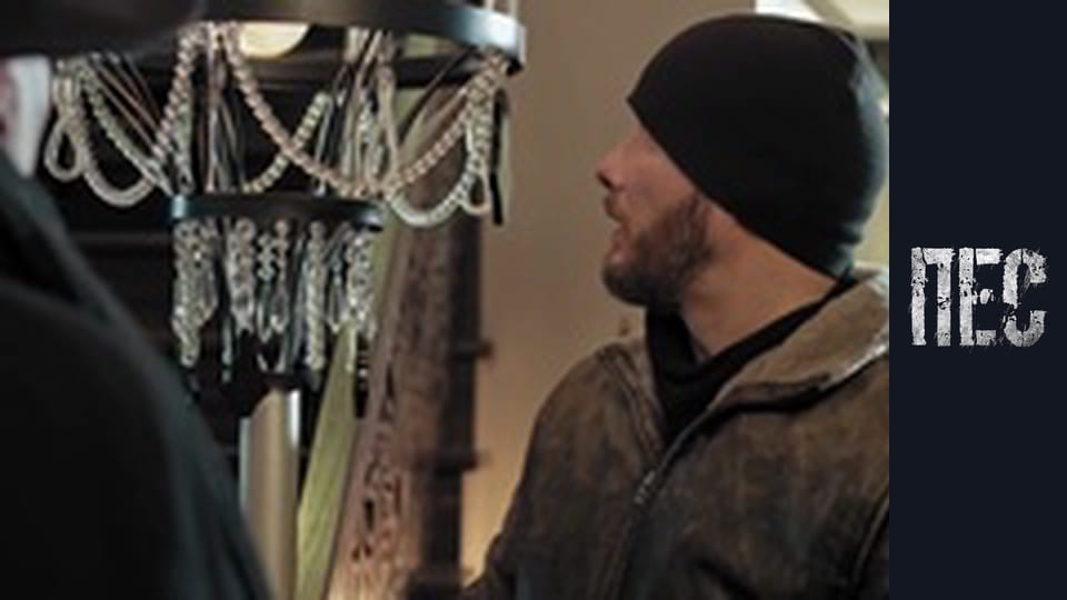 Пёс, Сезон 6, Серия 29