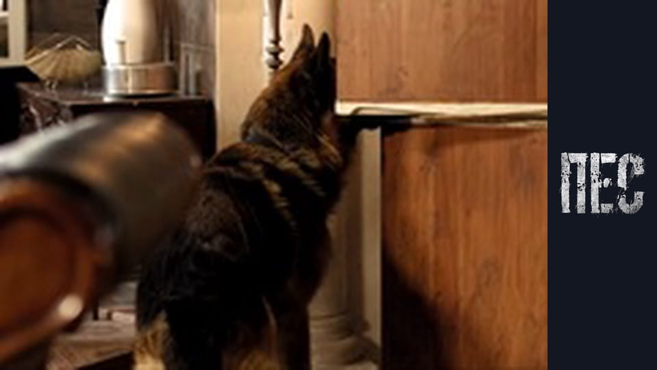 Dog, Season 3, Episode 19