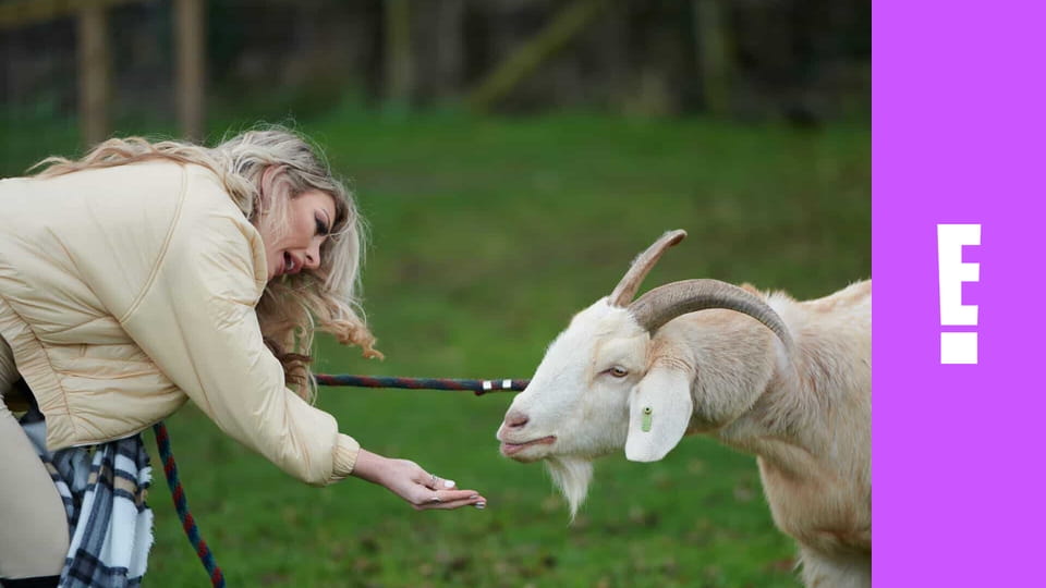 Dating: No Filter S1E8 - Bowling For Kisses