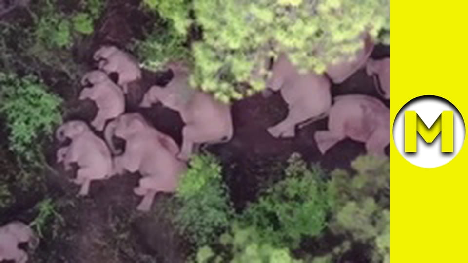 TOP (Max TV) - season 3 - episode 49