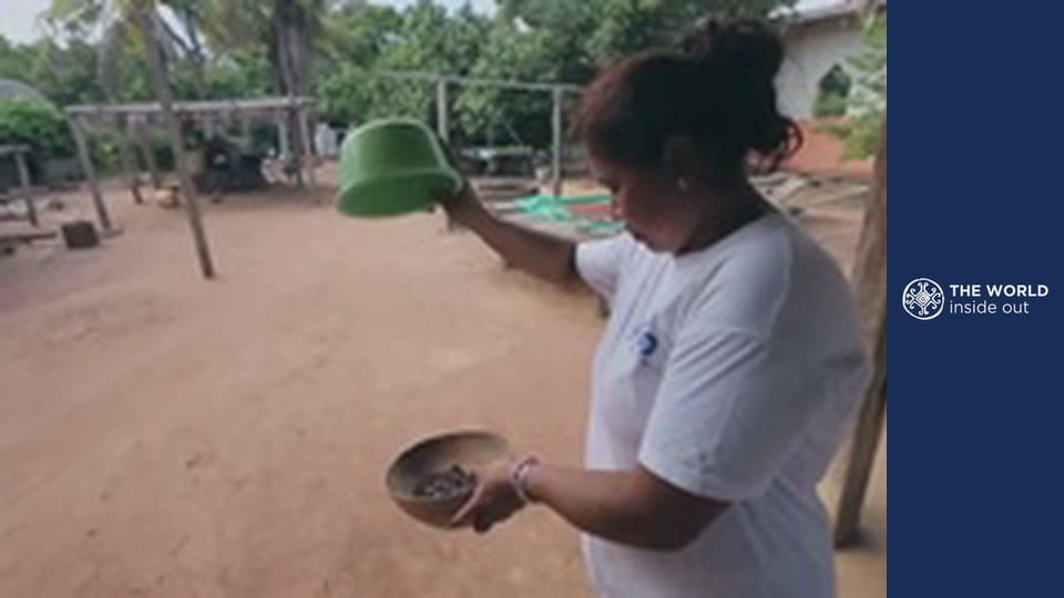 Kakaóültetvények, piranha- és krokodilvadászat. Bolívia.