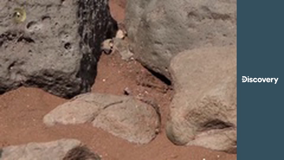 Голые и напуганные: на необитаемом острове S1E7