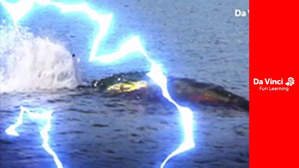 Csak nem egy találmány? - Mennyei kutyakaja