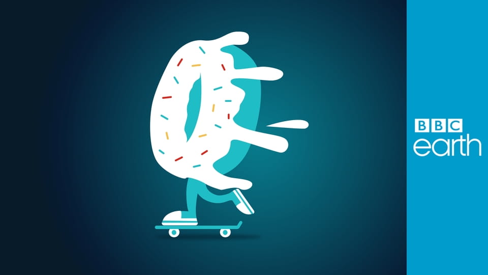 Inside the Factory S7E4 - Jaffa Cakes