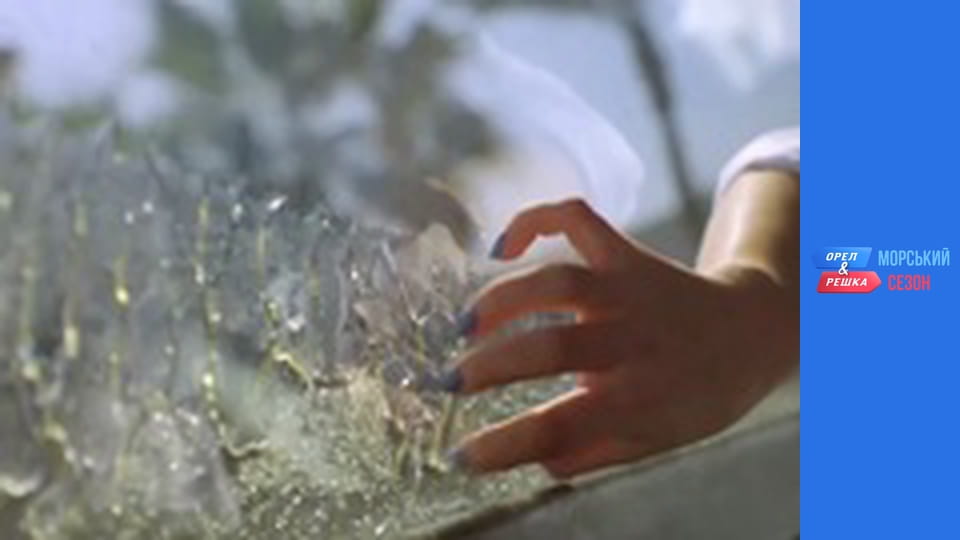 Морской сезон - Выпуск 1 -  Хургада