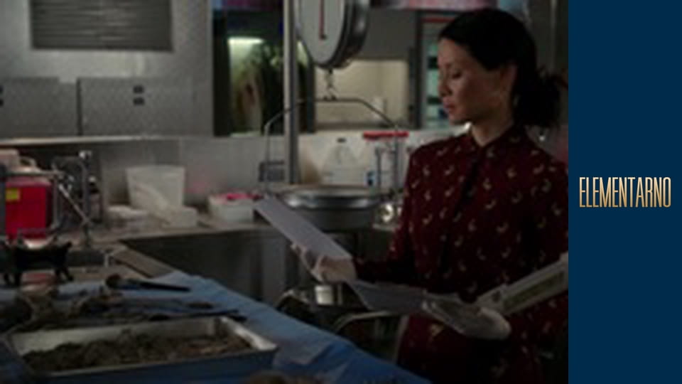 Elementary Season 5 Episode 19