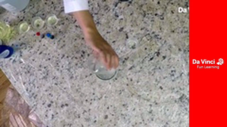 Domowa nauka - Miss Ameryki