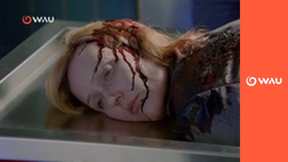 C.S.I.: Kriminálka New York S7E7 - Neviditeľný