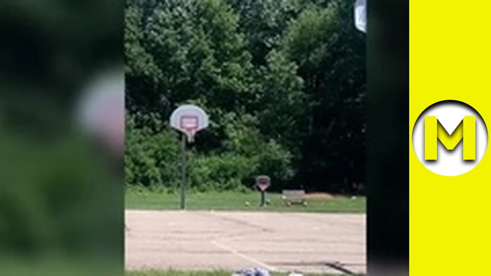 Max TV - season 1 - episode 100